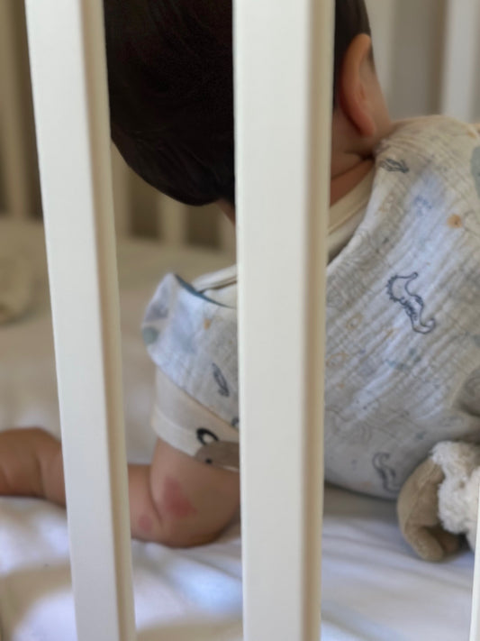 GIGOTEUSE - SOUS L'OCÉAN