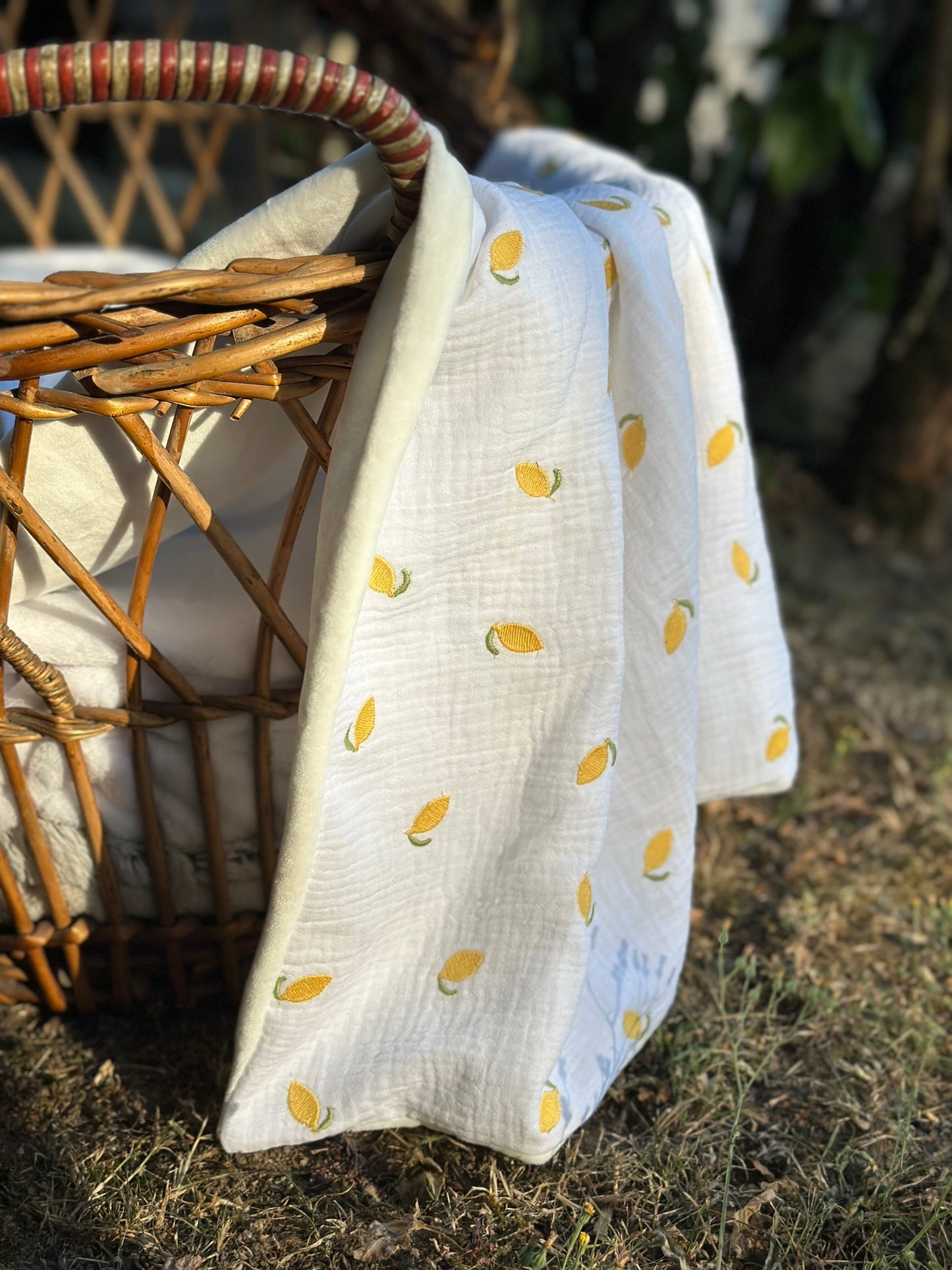 COUVERTURE - LEMON